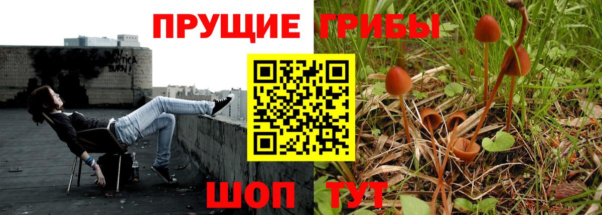Псилоцибиновые грибы мицелий Красноармейск
